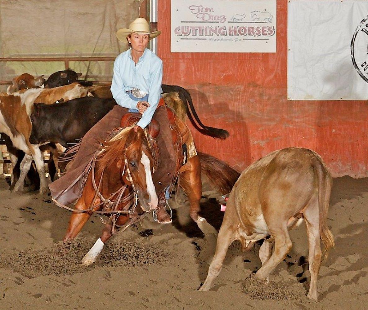 MY STYLISH PEPTO in foal to Meteles Cat!! Cutting Horse Central