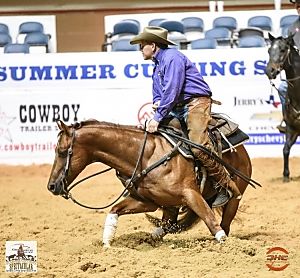 francois horses phtml cuttinghorsecentral