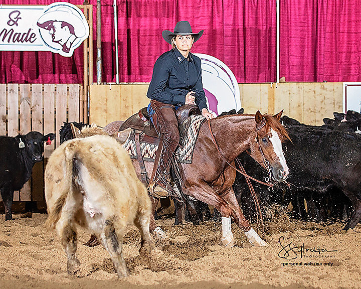 The One Time Boon Cutting Horse Central