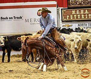 Greg Wright : Cutting Horse Central