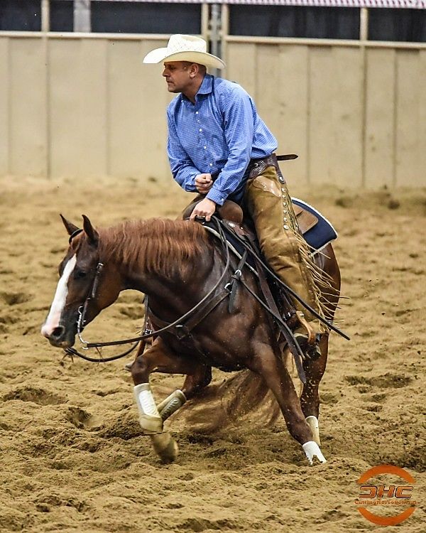 Phil Rapp Cutting Horse Central