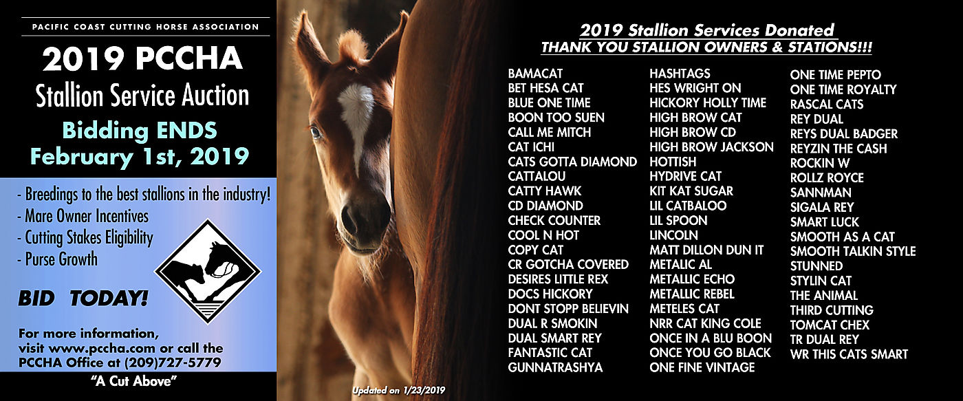 2019 PCCHA Stallion Service Auction : Cutting Horse Central