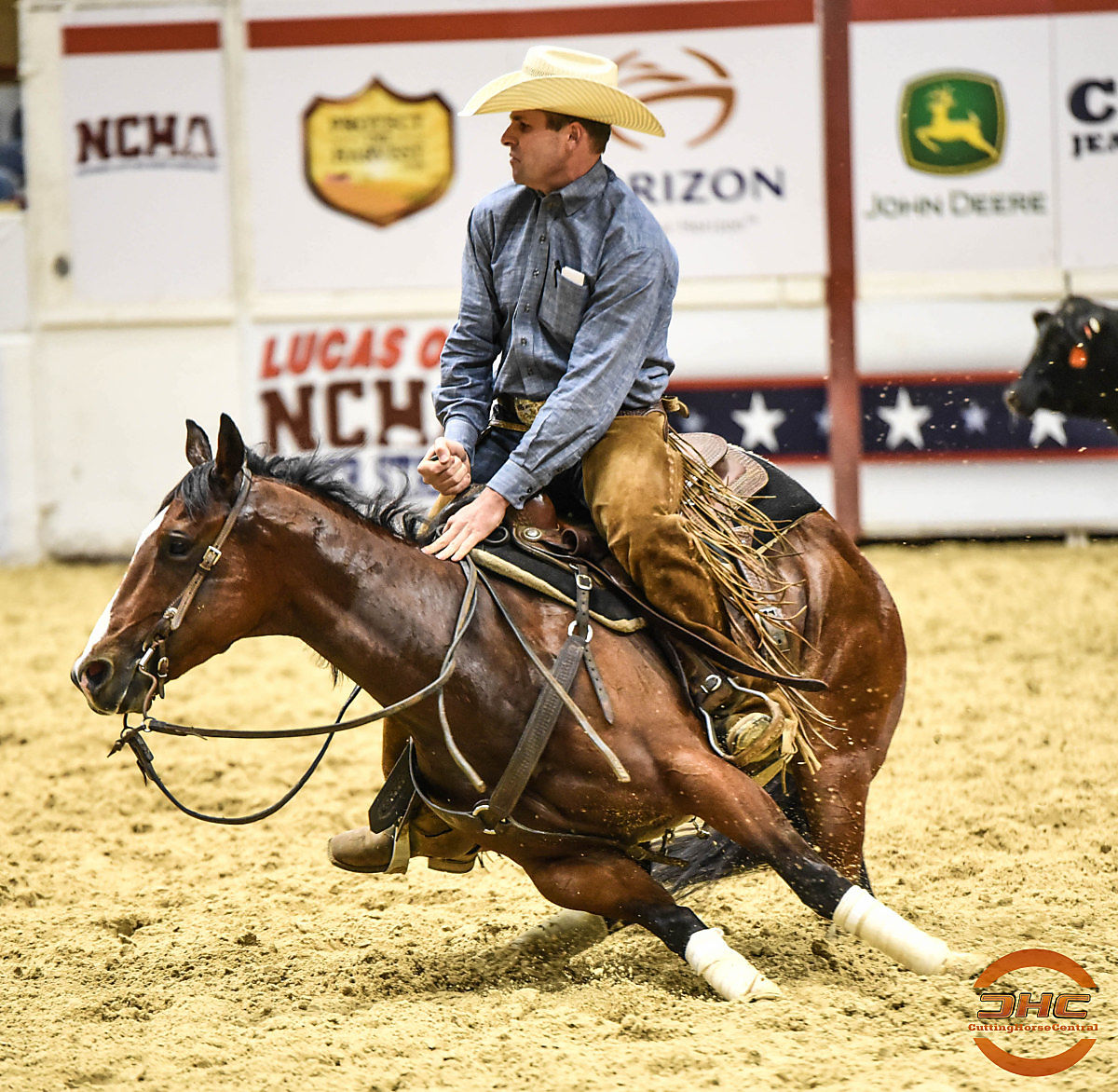 Gabe Reynolds Trainer Spotlight Cutting Horse Central
