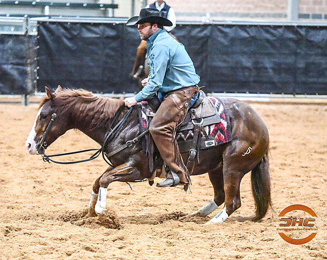 Grant Setnicka Cutting Horse Central