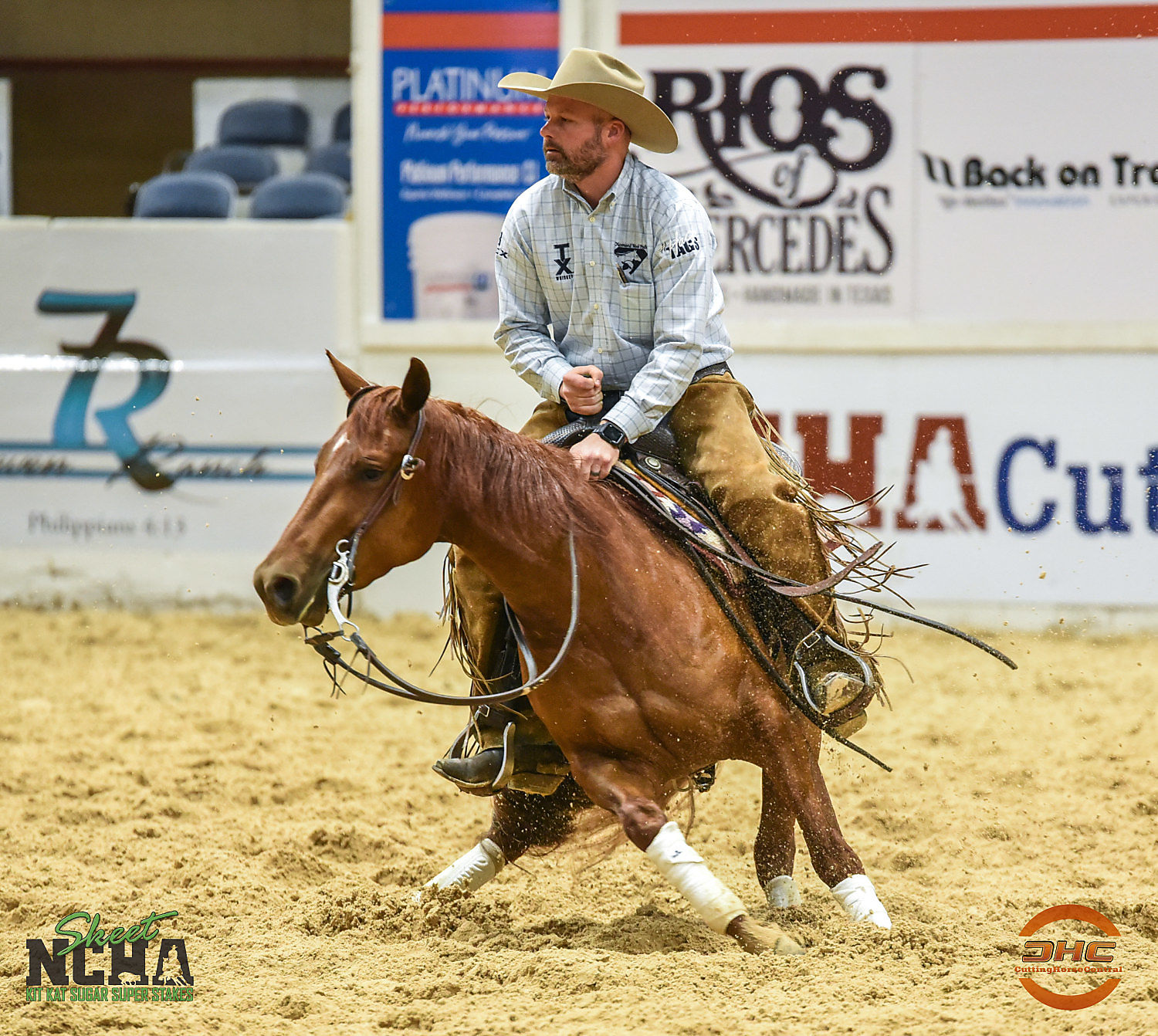 Tatum Rice : Cutting Horse Central