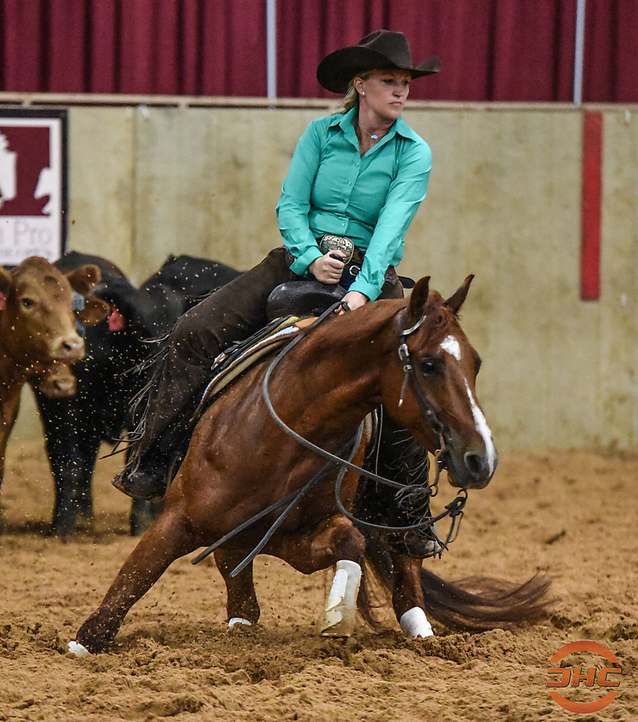 Something for Everyone at the Non Pro Plus the Open Cutting Horse Central