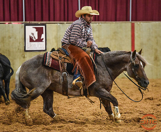 Tyler Lewis : Cutting Horse Central