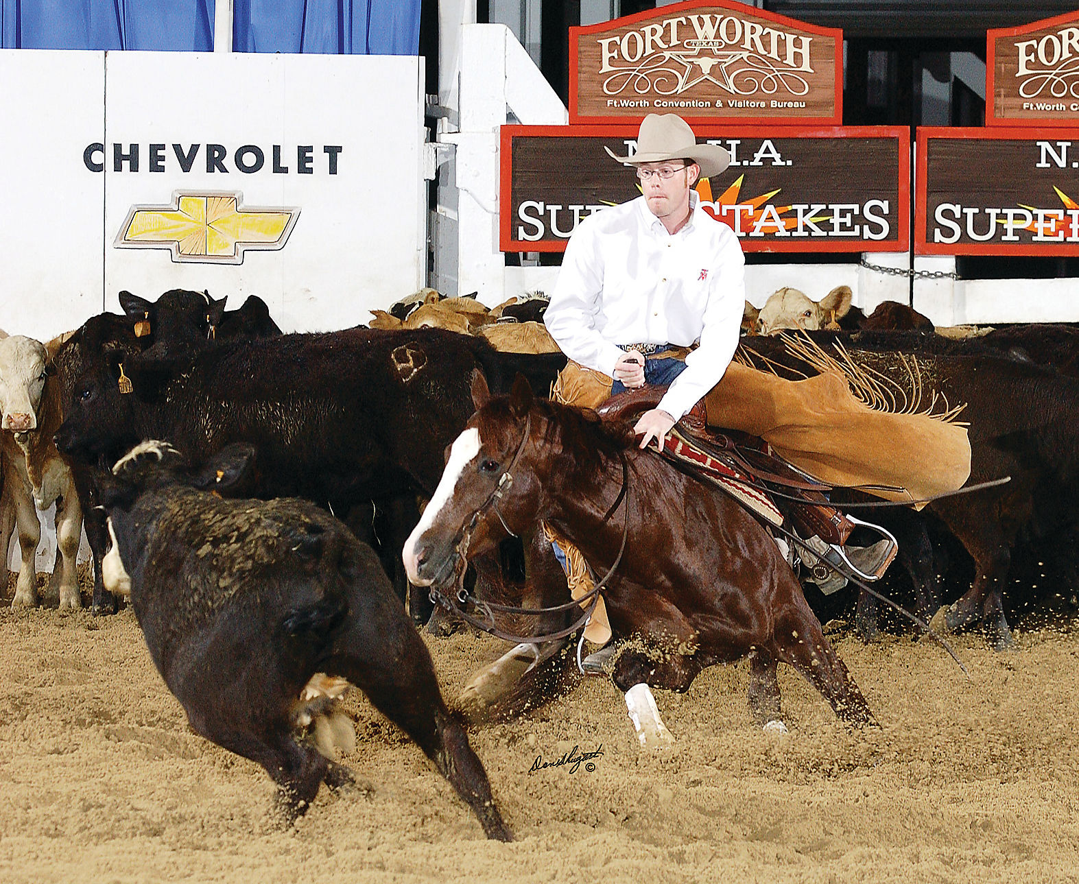 SMOOTH AS A CAT Cutting Horse Central