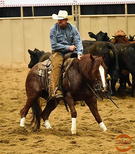 Clay Johnson : Cutting Horse Central