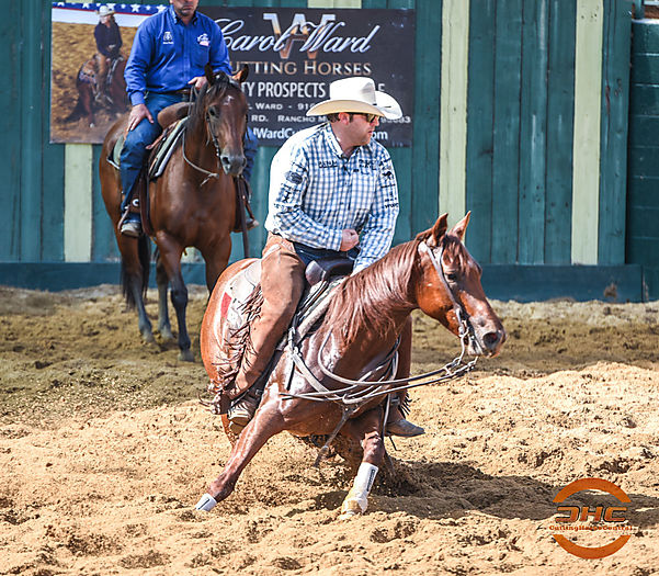 Grant Setnicka Cutting Horse Central