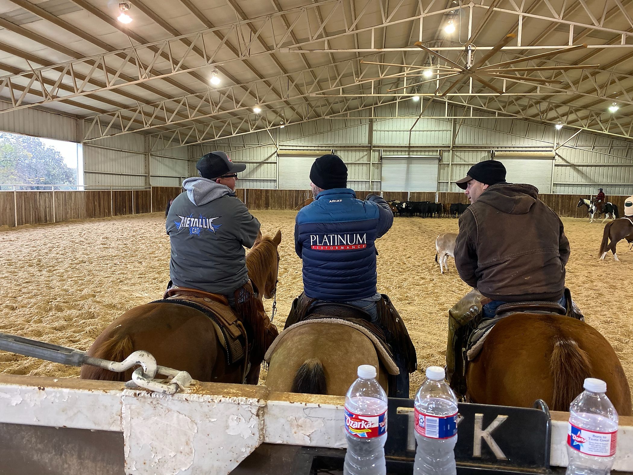 Prework Season Cutting Horse Central